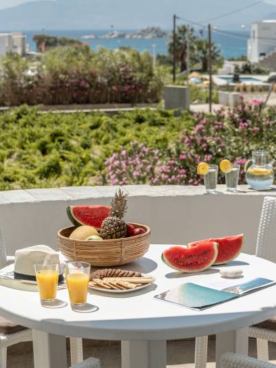 villa andromeda naxos island cyclades