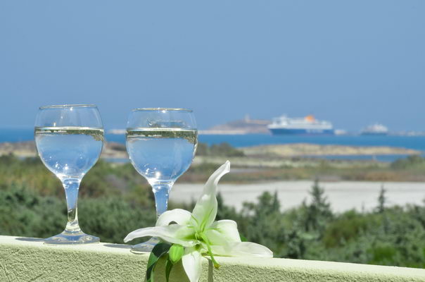 Villa Andromeda